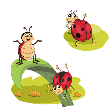 sticker coccinelles amusantes