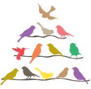 sticker oiseaux en couleurs sur branches