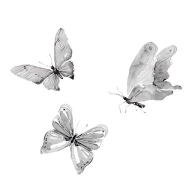 sticker dessins de papillons