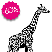 sticker Jolie girafe