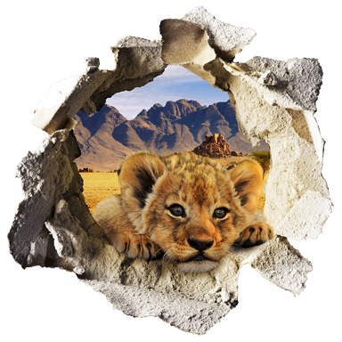 sticker Trompe l'oeil lionceau