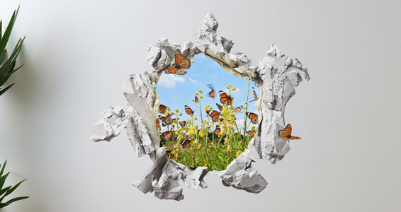 Trompe l'oeil envol de papillons